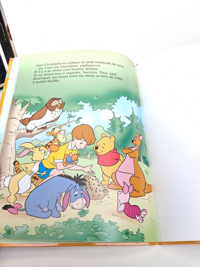 Livre Disney Winnie l'ourson 100, ça ressemble à quoi ? - photo numéro 6