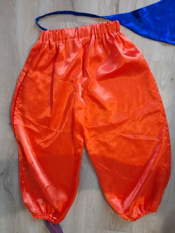 Déguisement De Jasmine des Milles et une Nuit "