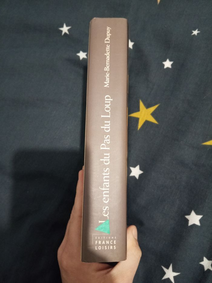 Livre (97) 📚 Les enfants du pas du loup - photo numéro 3