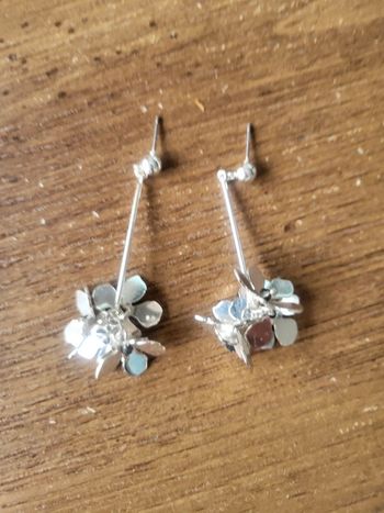 Boucles d'oreilles argentées