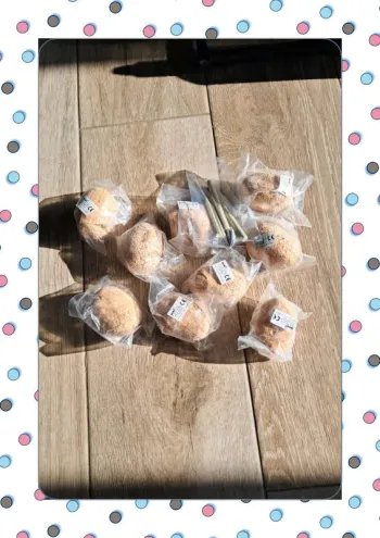 Lot de 9 oeufs dinosaure à découvrir