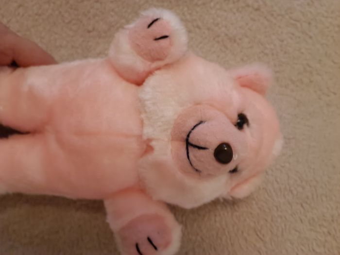 Peluche ours rose