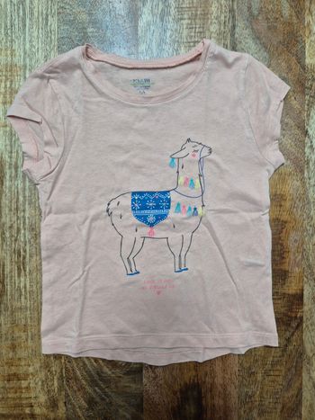 Tee-shirt manche courte 5 ans lama