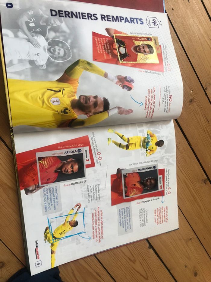 Album collector panini et cartes - photo numéro 5