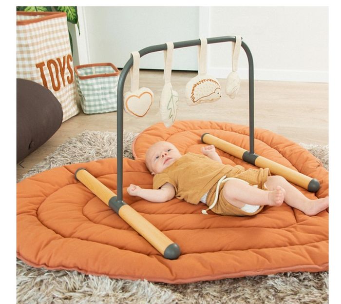 Arche d'éveil Evolux naturel gris anthracite et bois Childome - photo numéro 2