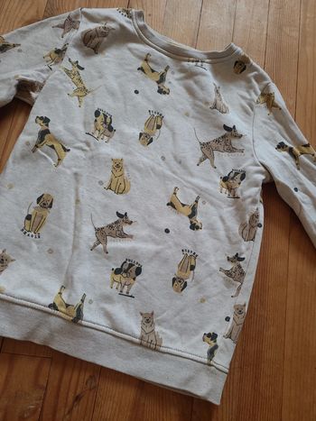 Pull motif chien