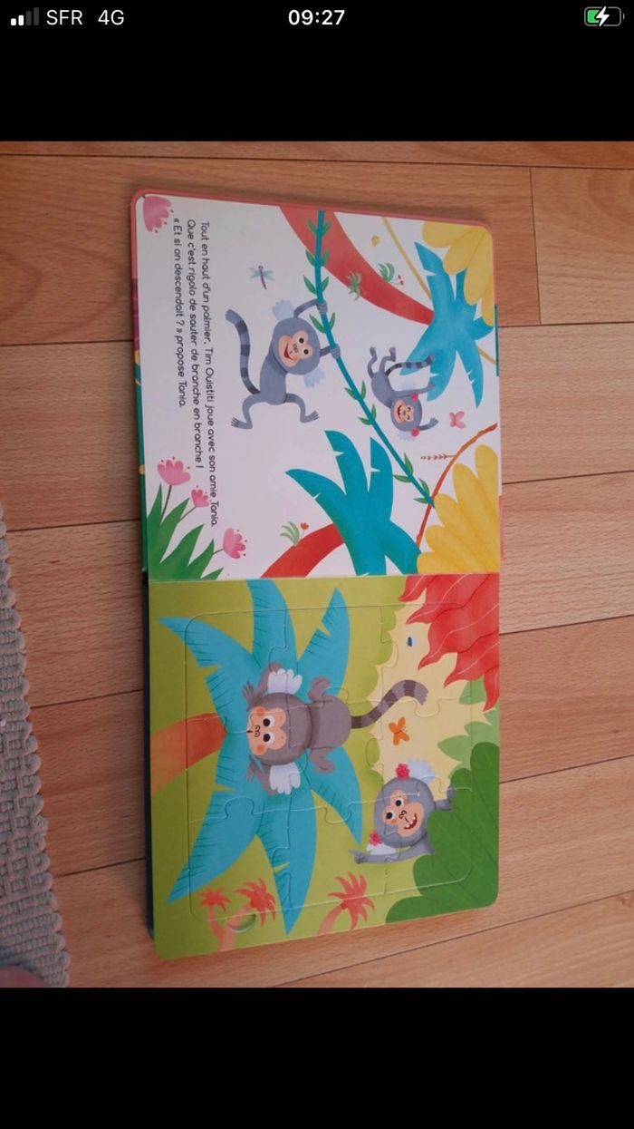 # livre # puzzle # tim le oustiti - photo numéro 4