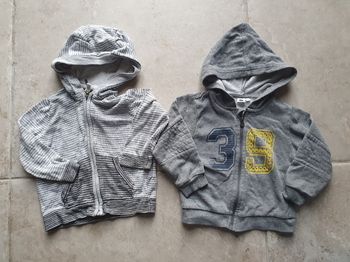 Lot 2 vestes zippées