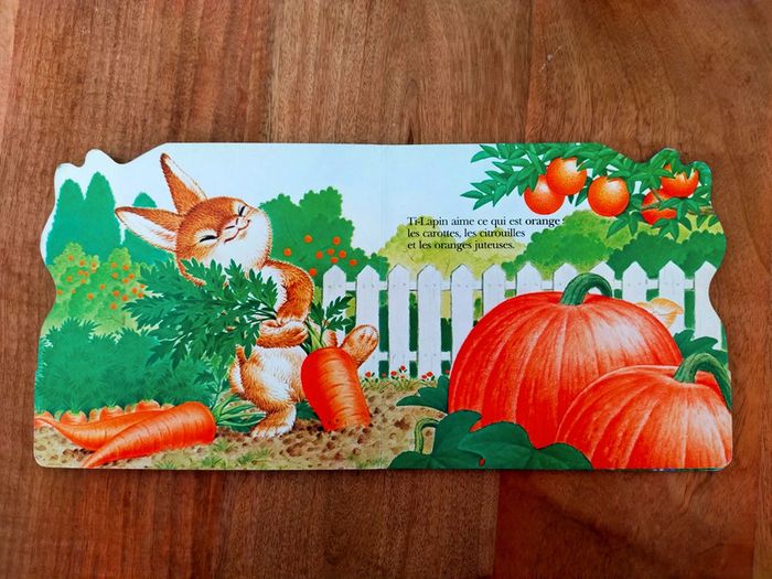 🐇Ti-Lapin et les couleurs 🌈 - photo numéro 2