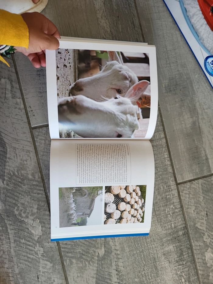 Livre le diois - photo numéro 5
