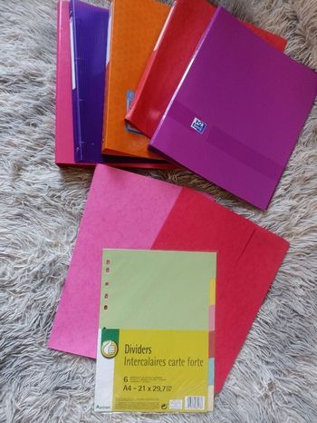 Lot de classeurs pochettes et intercalaires 