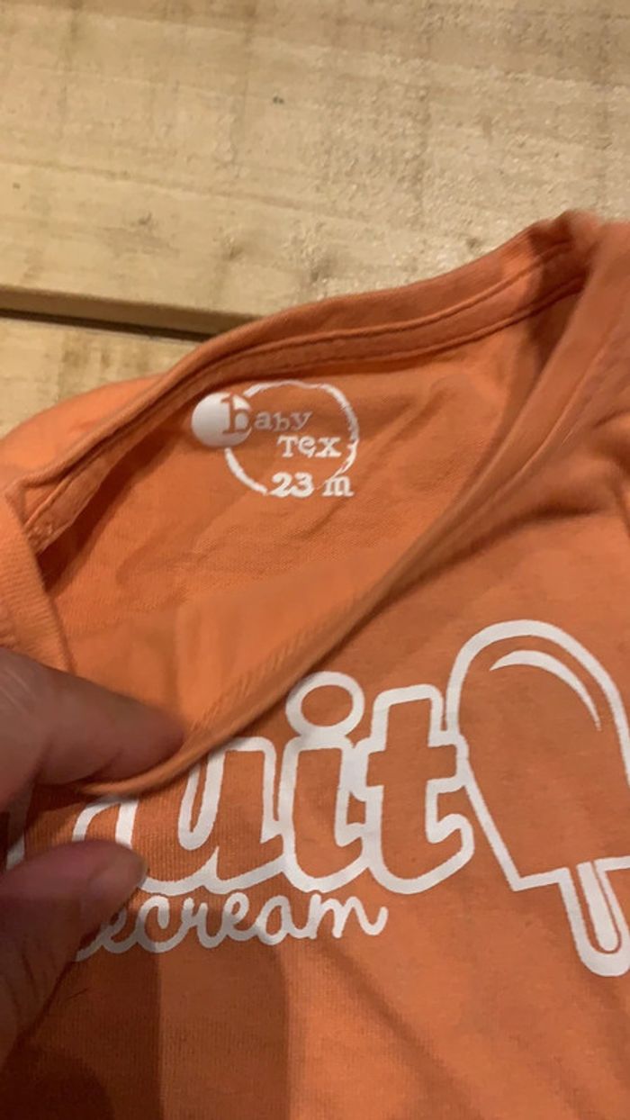 Lot de deux tee-shirts manche courts baby tex 23 mois - photo numéro 7