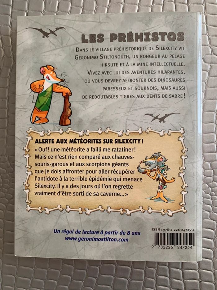 Livre : Alerte aux météorites sur Silexcity ! - photo numéro 2