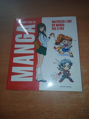 Le grand livre du manga maîtriser l'art du manga pas à pas