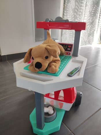 Clinique vétérinaire 