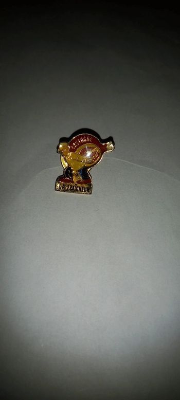 Pin's la fraîcheur bastogne boucher