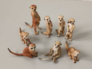 Suricates Papo