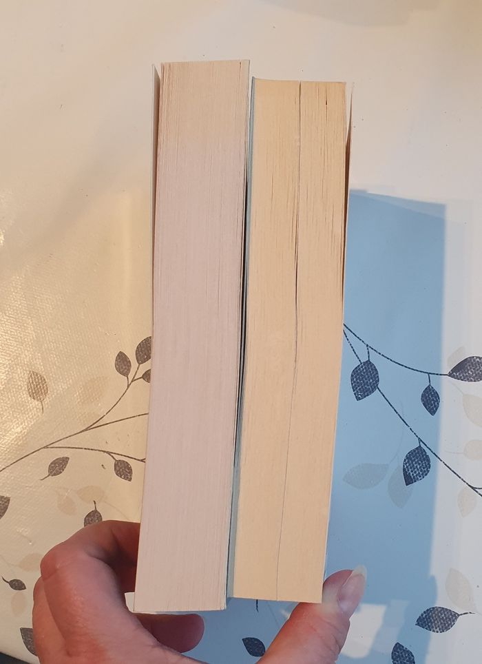 Lot de 2 livres historiques - photo numéro 4
