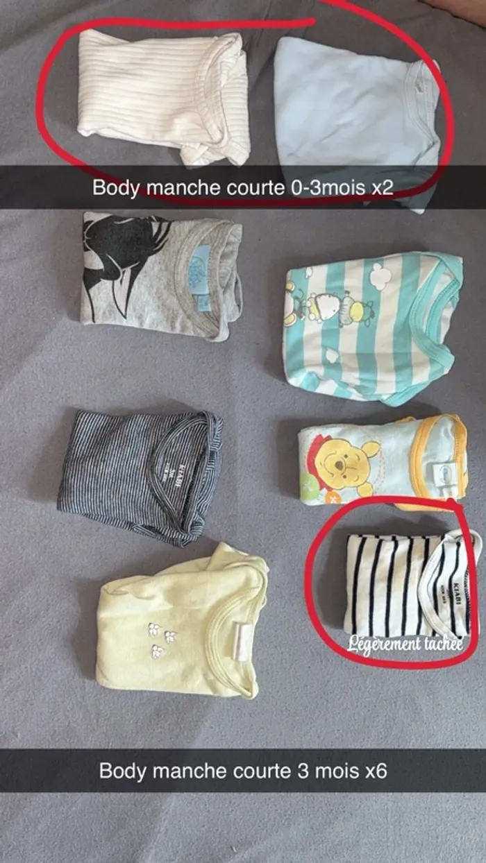 Body, bébé manches courtes