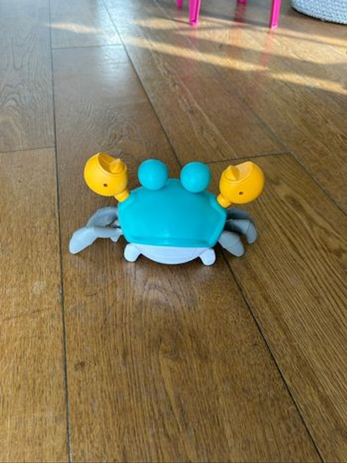Crabe rampant et chantant - photo numéro 3