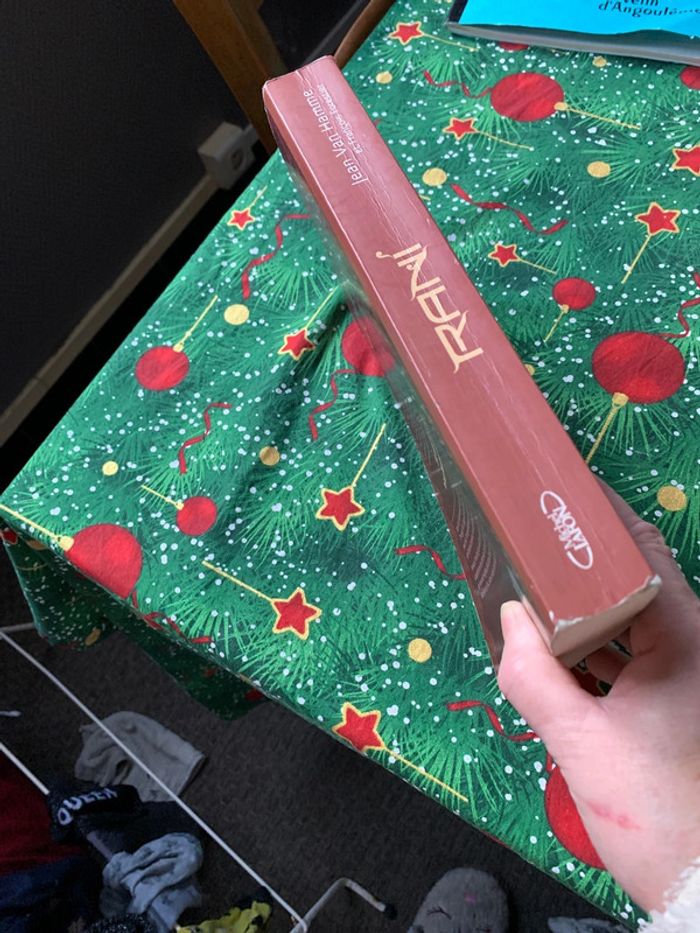 Rani roman - photo numéro 10