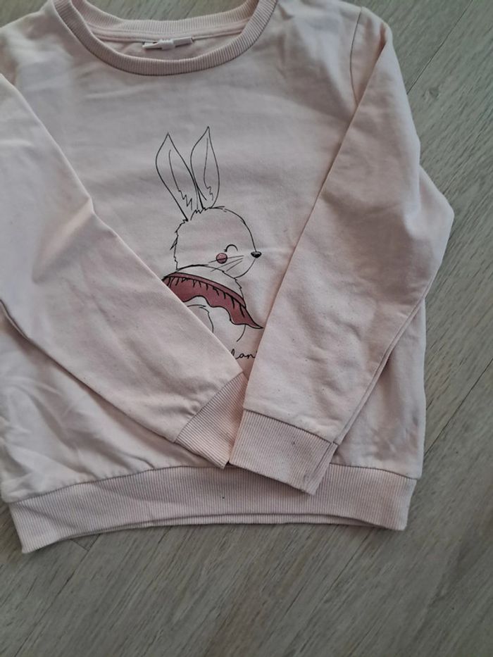 Sweat fin lapin - photo numéro 4