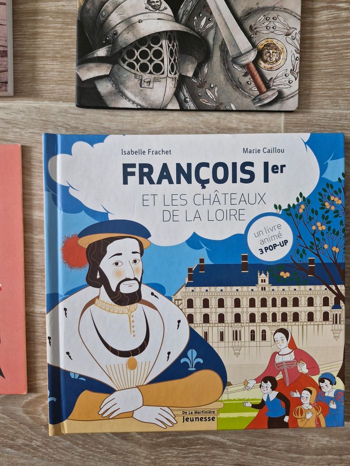 Lot de livres Historiques pour enfant de 7/8 ans - photo numéro 4