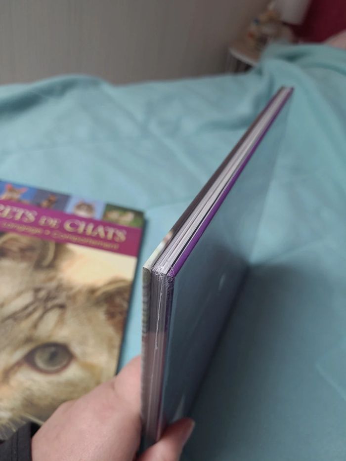 2 livres sur les chats - photo numéro 2