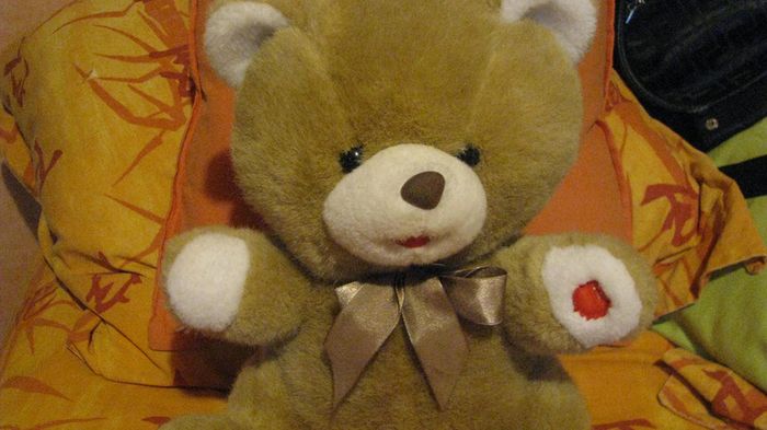 ourson 30cm - photo numéro 3