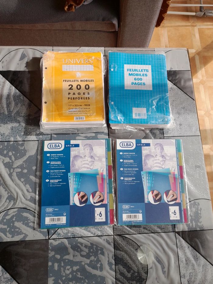 Lot pour classeur 17/22