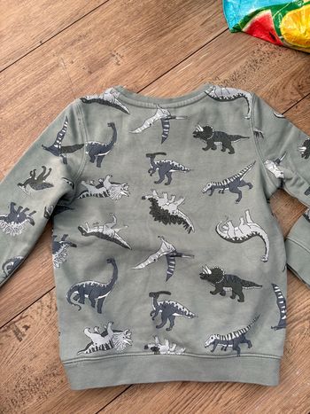 Pull dinosaure 5 ans sergent major 