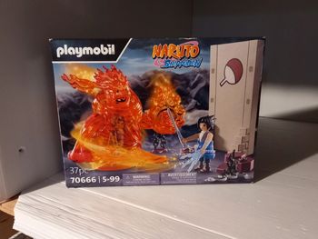 Playmobil 70666