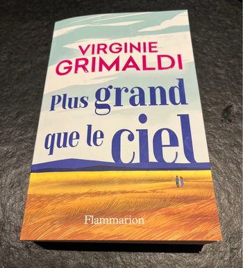 « Plus grand que le ciel » de Virginie Grimaldi