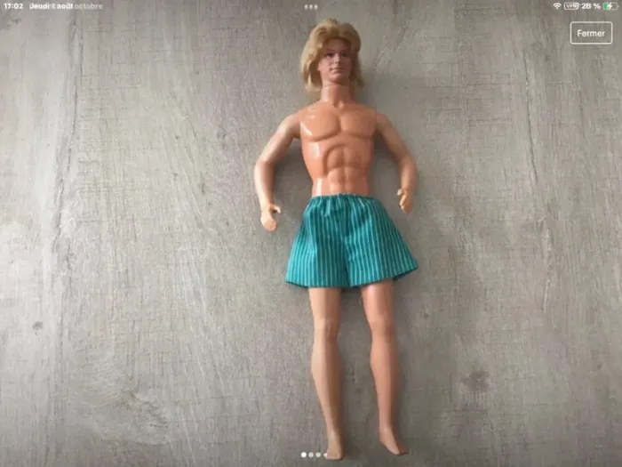 Ken vintage