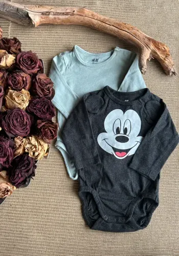 2 bodys taille 2-4 mois