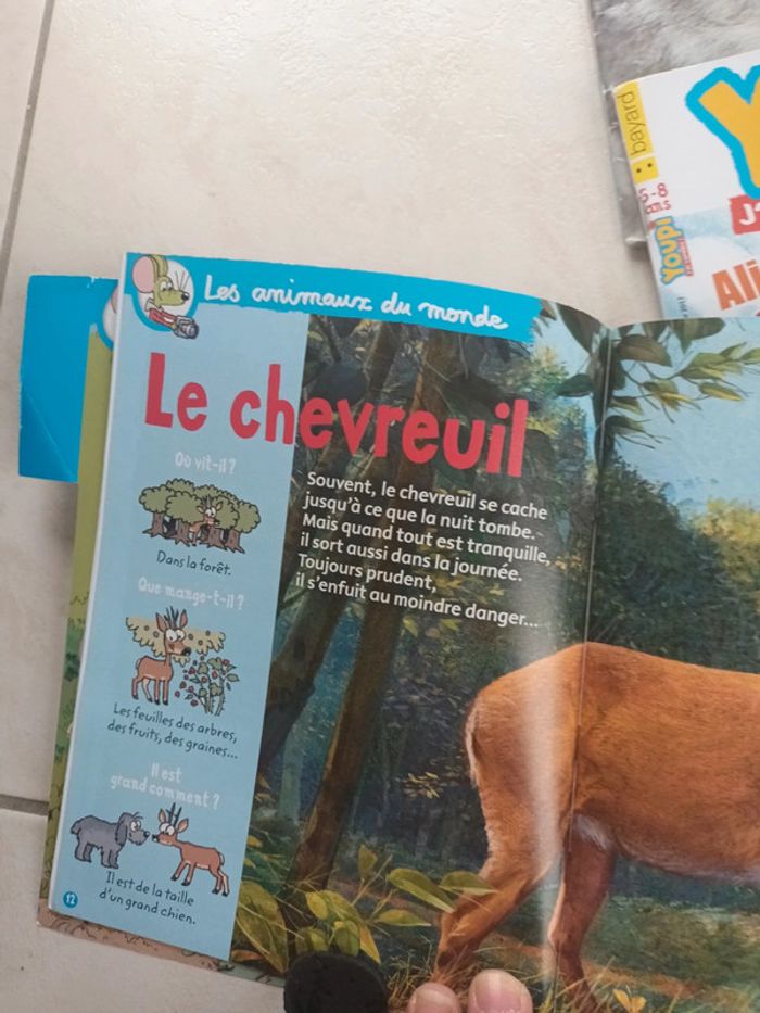 Lot de 9 magazines youpi j'ai compris 5-8 ans - photo numéro 5