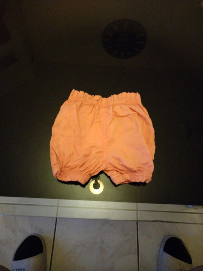 Short fin - photo numéro 3