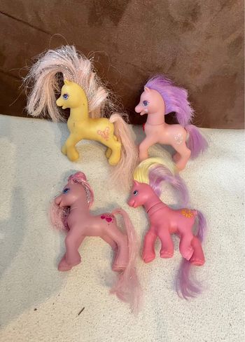 Ensemble petit poney