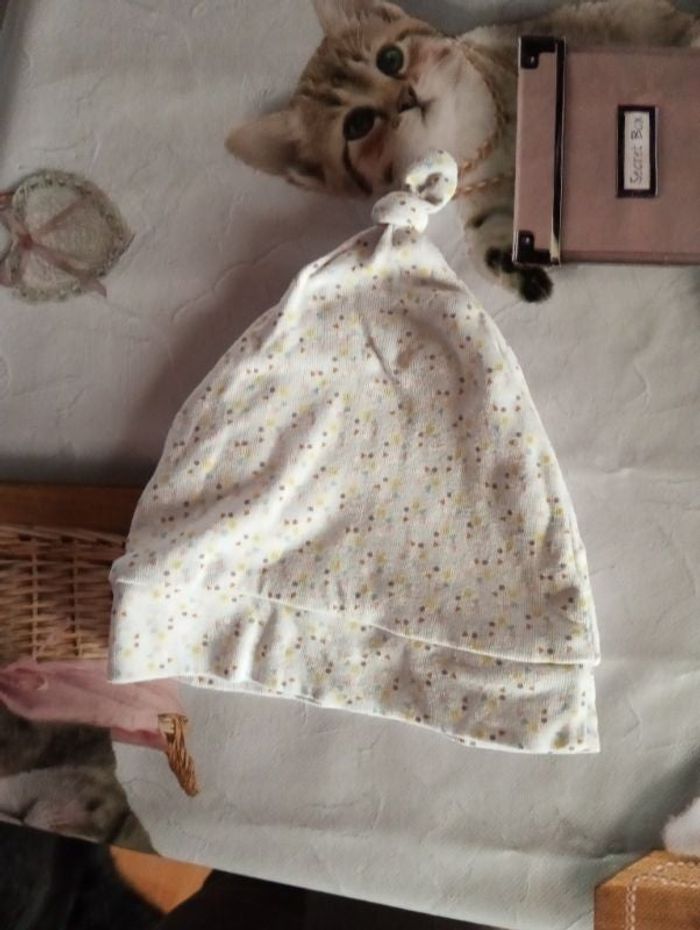 Bonnet