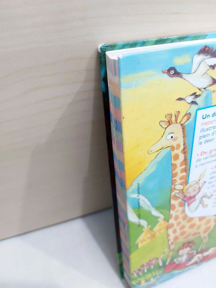 🌺 Livre : Mon premier dictionnaire Gallimard Jeunesse 4/7 ans - photo numéro 9