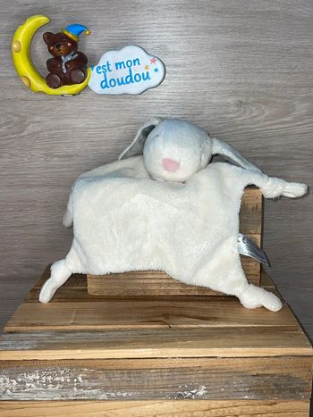 DIV175 doudou lapin 🐰 Grow play