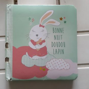 Livre Bonne nuit doudou lapin