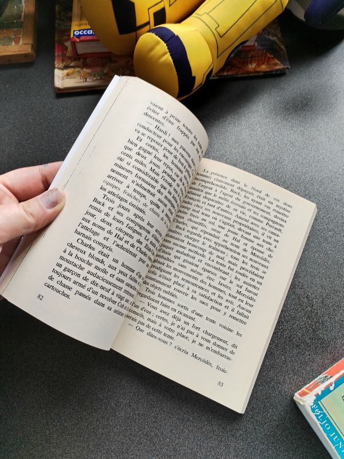 Lot livres ado collège - photo numéro 4