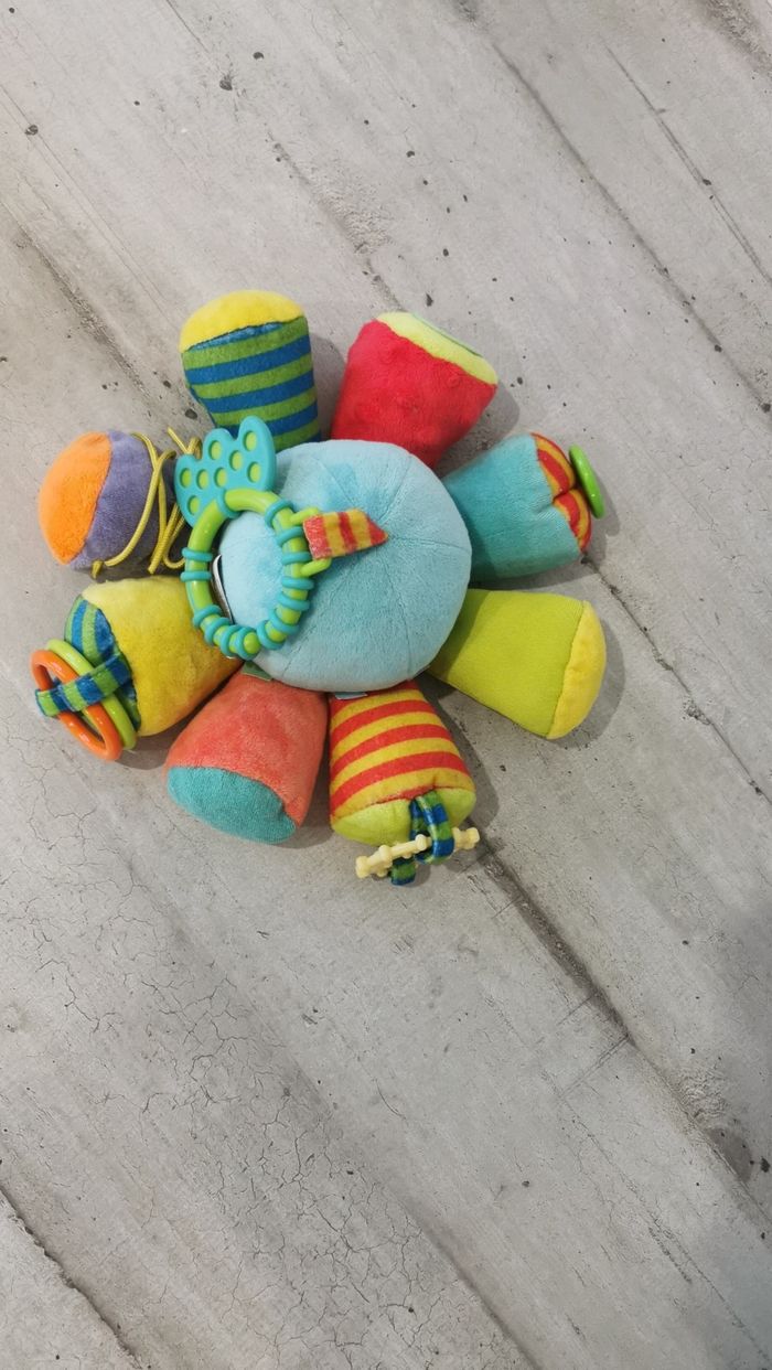 Pieuvre d'éveil - photo numéro 4