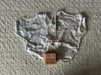Lot 2 bodies 6 mois