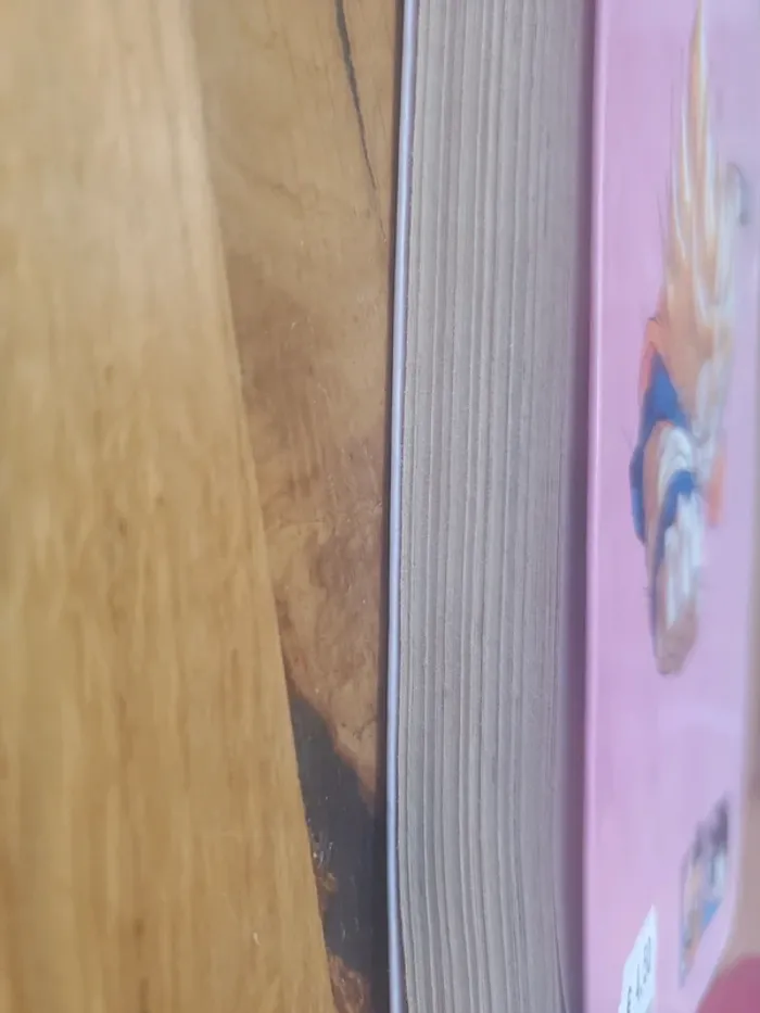 Manga Dbz tome 31. - photo numéro 5