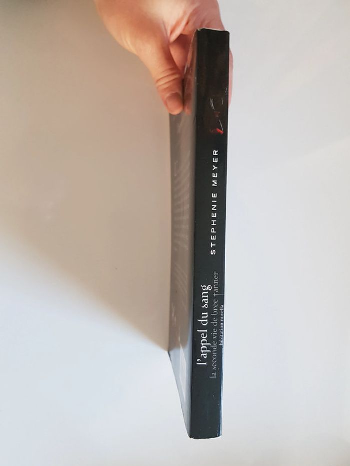 L'appel du sang : La seconde vie de Bree Tanner Stephenie Meyer - photo numéro 5