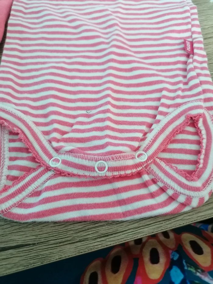 Bodys absorba - photo numéro 6