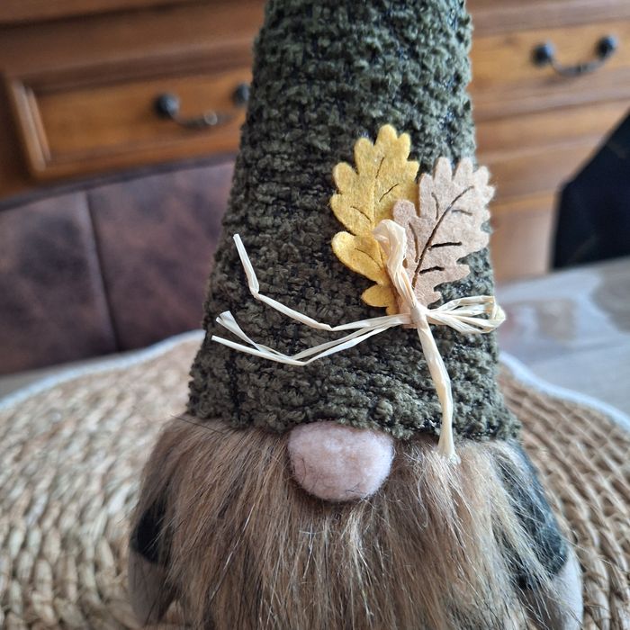 Gnome  automnale - photo numéro 2