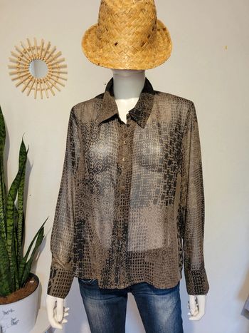 Chemise transparente